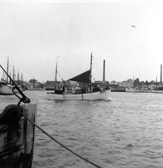 3126F426 Skagen