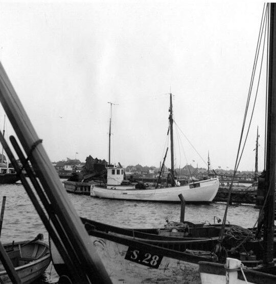 3126F429 Skagen