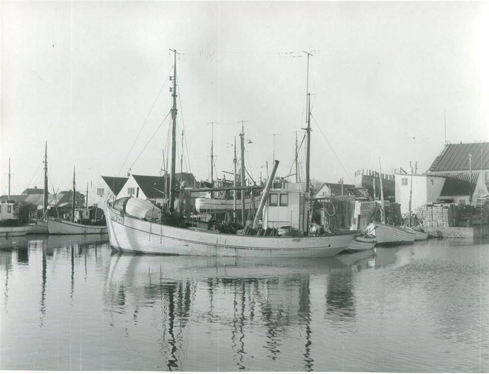 3126F1229 Strandby
