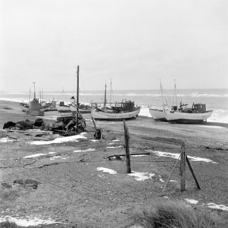 3126F1559 Thorupstrand