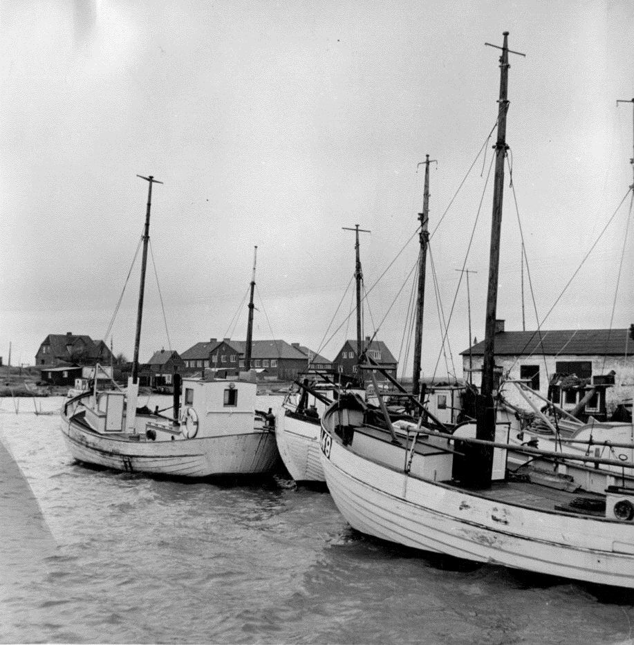 3126F824 Thorsminde