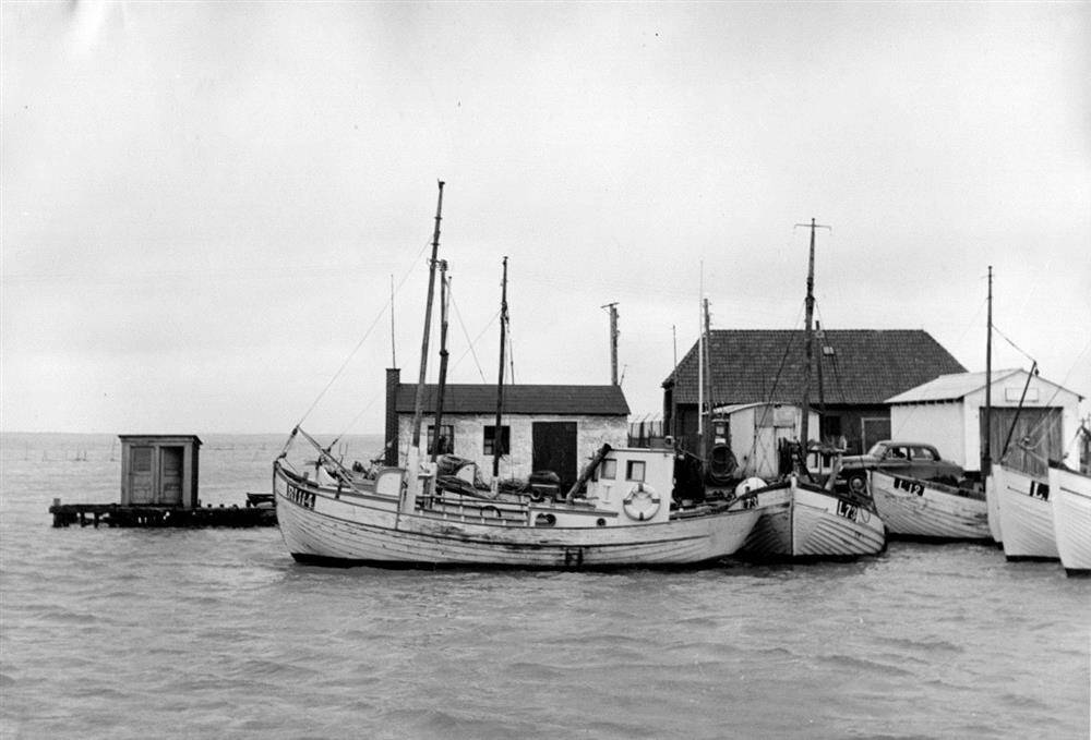 3126F839 Thorsminde