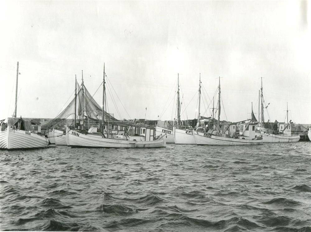 3126F1237 Bønnerup