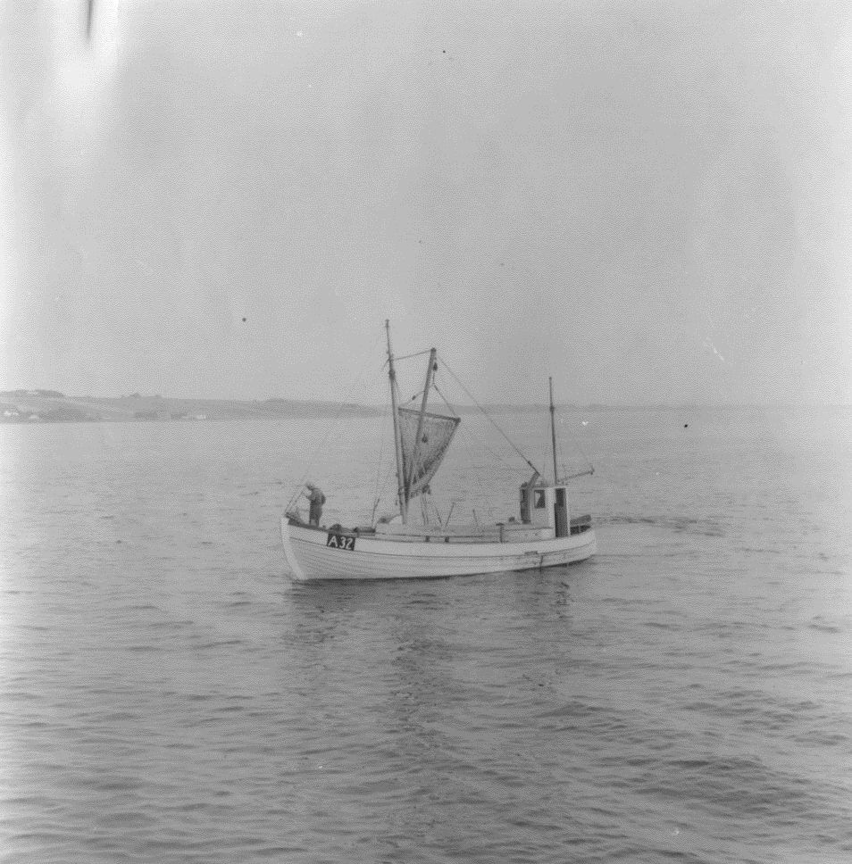 3126F564 Limfjorden-Sundby muslinger Thisted Bredning