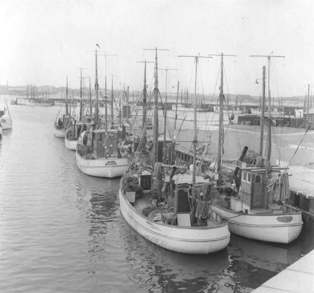 3126F898 Hvide Sande