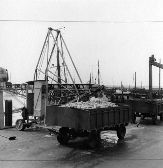 3126F934 Esbjerg