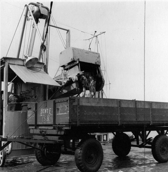 3126F935 Esbjerg