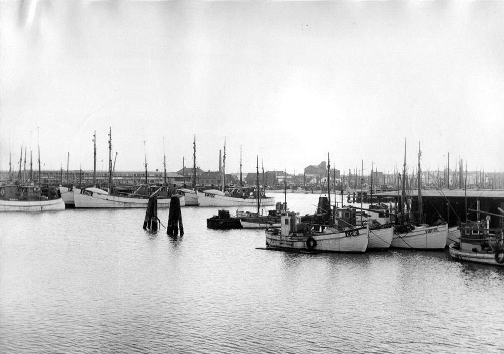 3126F954 Esbjerg