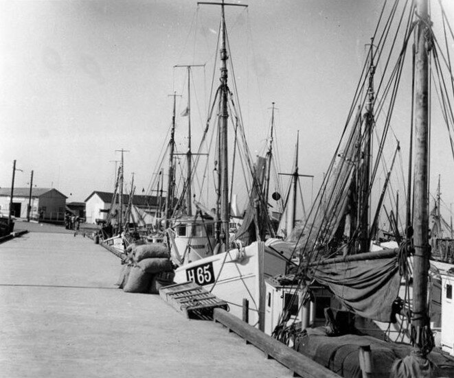 3126F176 Gilleleje