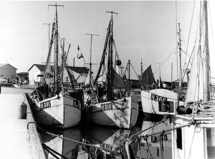 3126F177 Gilleleje