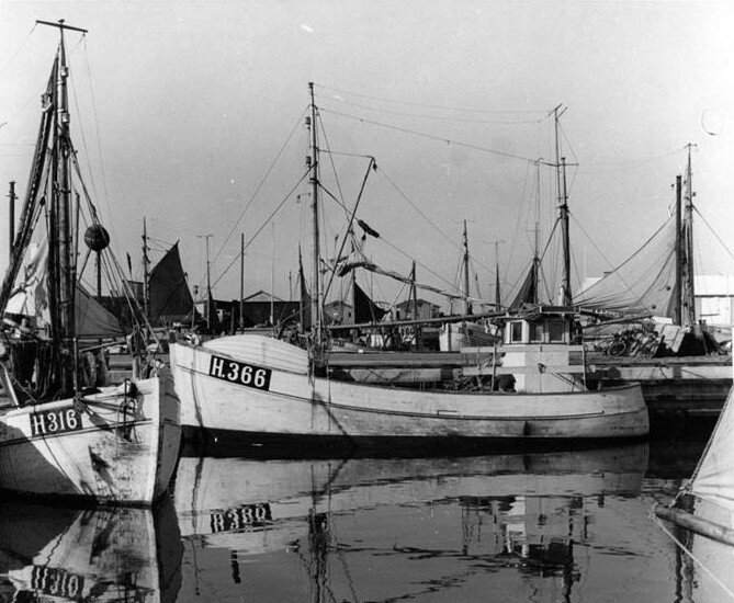 3126F178 Gilleleje