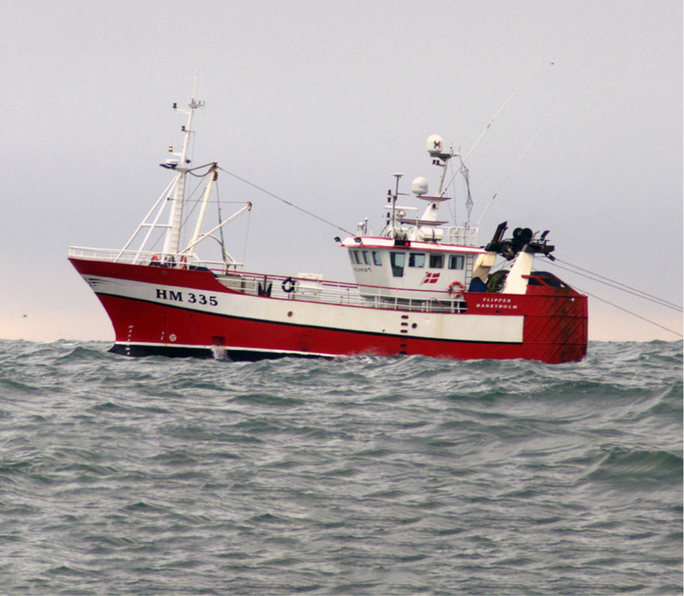 Trawl-fiskeri Image